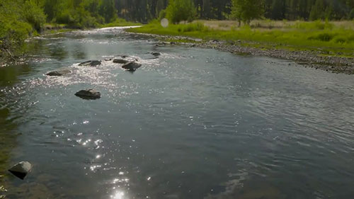 鸟迹溪鱼类栖息地修复