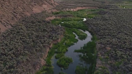 迪克西溪的修复