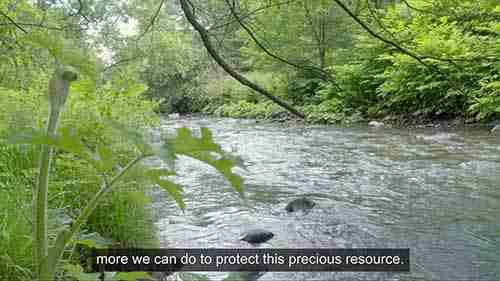 水体中的化学物质