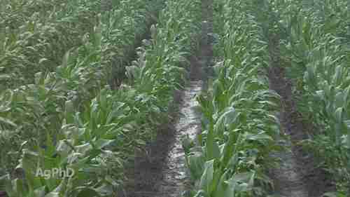 农民如何减少土壤侵蚀