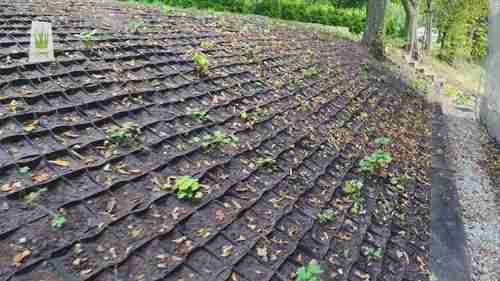 如何在山坡上安装生态护坡装置