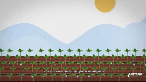 如何确定灌溉量