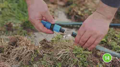 如何安装滴灌系统