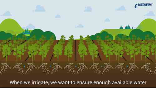 灌溉与土壤类型的关系