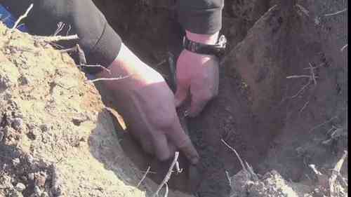 滴灌技术对抗干旱天气