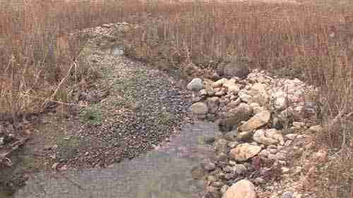 间歇浅滩成就水生物多样性