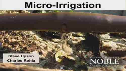 微灌技术研讨会1