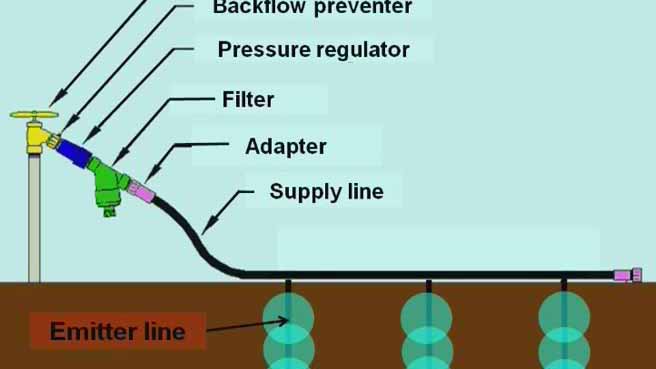 微灌技术研讨会5