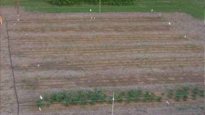 微灌技术研讨会6