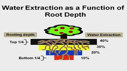 微灌技术研讨会9
