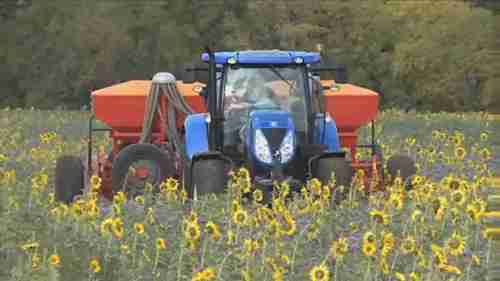 免耕农业防止土壤侵蚀