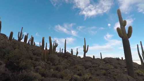 新世界奇迹——非洲的绿色长城