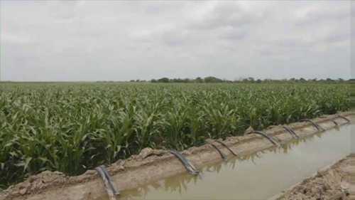 农场的灌溉效率