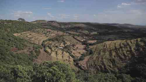 埃塞俄比亚高原的生态修复之路