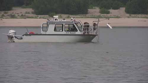 密西西比河水质测验取样