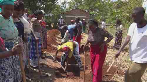 ZAI种植技术改变非洲农民命运
