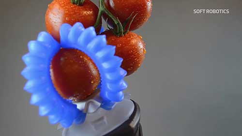 受到章鱼启发的机器人夹爪
