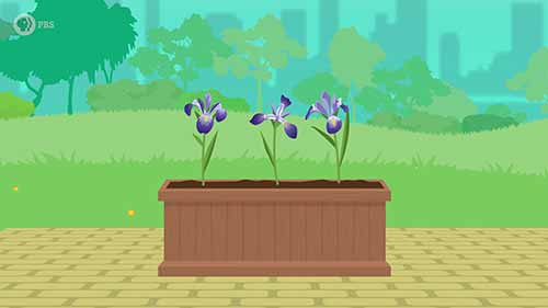 人工智能速成课程 6非监督式学习