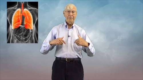 柴油机有害排放物