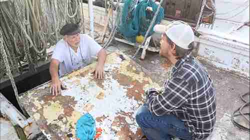 放样2：型线放样