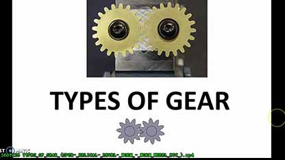 齿轮类别