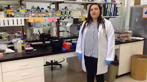 酶溶破碎法破碎细胞