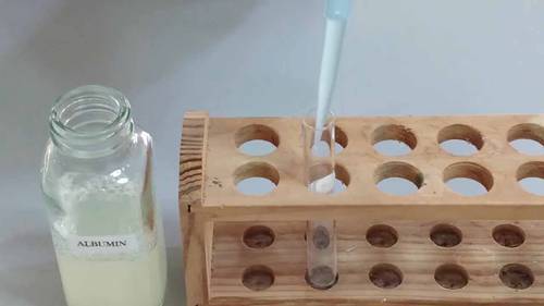 蛋白质的沉淀方法