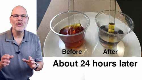 使用透析袋建立细胞膜模型