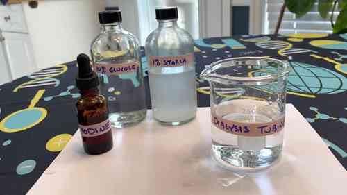 透析袋扩散实验