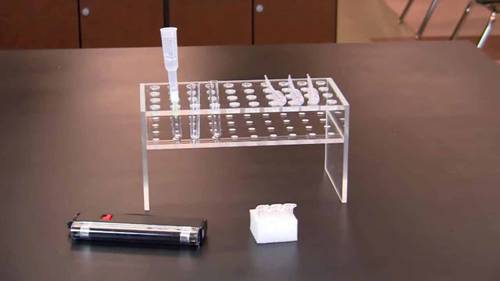 演示疏水作用色谱实验