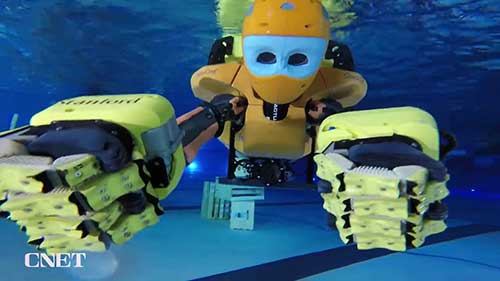 与水下机器人一起潜水