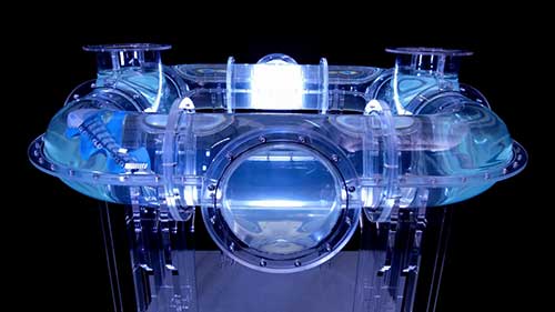 仿海扁虫机器人