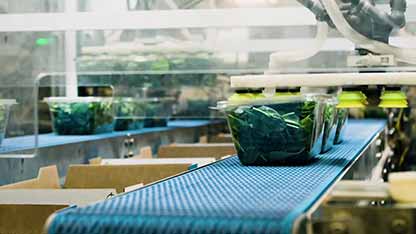 食物机器人如何改变生活