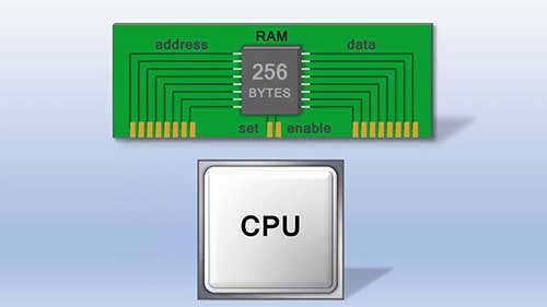 中央处理器和随机存储器
