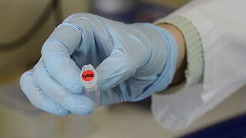 傅里叶变换红外光谱技术