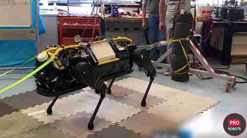 最先进的四足机器人