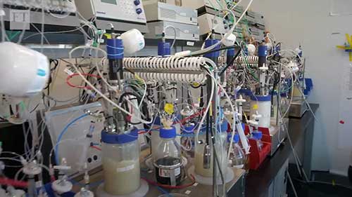 发酵:素肉的未来？