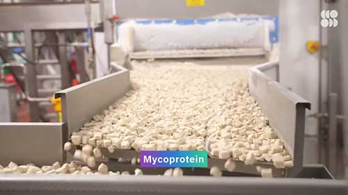 浅谈新蛋白发酵技术