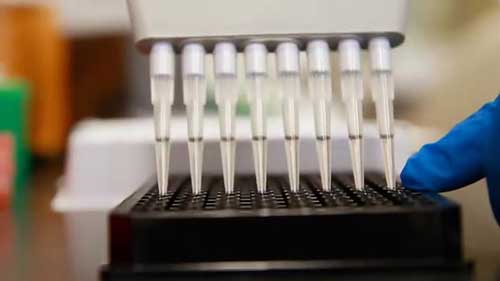 生物药品的开发与生产