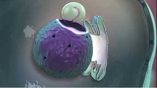 生产生物制剂面临的挑战