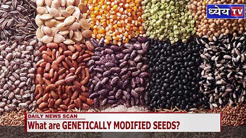 什么是转基因种子？