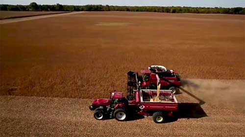 转基因种子的生命周期