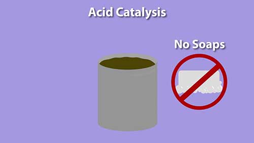 制备生物柴油的原料预处理