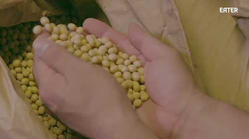 古法酿造日本酱油的过程