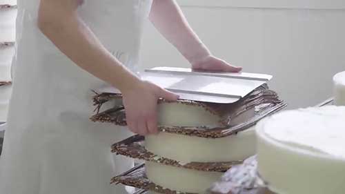 布里奶酪的生产工艺