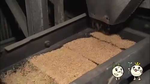 酱油酿造工艺概述