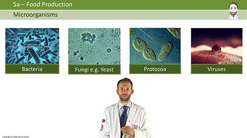 酸奶的生产过程