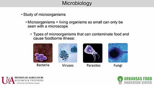 食品加工：生物性污染