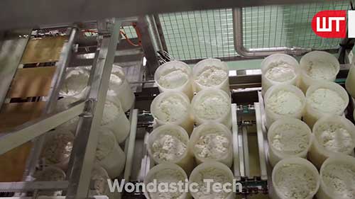 现代化奶酪生产工艺