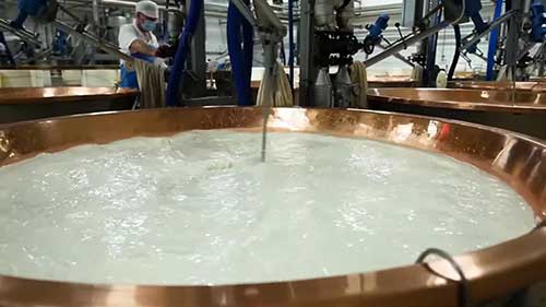 帕马森干酪的生产工艺